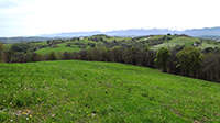 Balade en famille autour de Monein - Sentier forestier du Laring dans le 64 - Pyrénées-Atlantiques