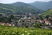 Idée de balade, promenade ou randonnée en famille avec des enfants : Andlau