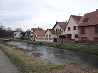 Balade en famille autour de Circuit cyclo d'Avolsheim dans le 67 - Bas-Rhin