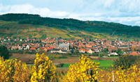 Balade en famille autour de Circuit du vignoble dans le 67 - Bas-Rhin