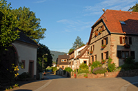 Balade en famille autour de Bassemberg dans le 67 - Bas-Rhin