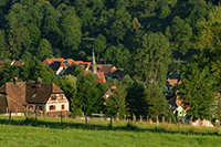 Balade en famille autour de Bassemberg dans le 67 - Bas-Rhin