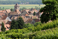 Balade en famille autour de Dambach-la-Ville dans le 67 - Bas-Rhin