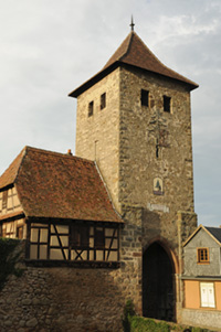 Balade en famille autour de Dambach-la-Ville dans le 67 - Bas-Rhin