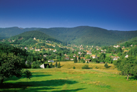 Balade en famille autour de Nature et patrimoine dans le 67 - Bas-Rhin