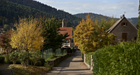 Balade en famille autour de Nature et patrimoine dans le 67 - Bas-Rhin