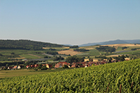 Balade en famille autour de Kehlbach dans le 67 - Bas-Rhin