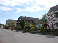 Idée de balade, promenade ou randonnée en famille avec des enfants : Rheinau Freistett