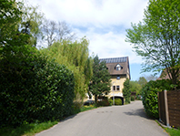 Balade en famille autour de Rheinau Freistett dans le 67 - Bas-Rhin