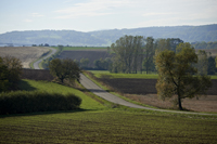 Idée de balade, promenade ou randonnée en famille avec des enfants : Hohengoeft