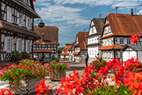 Balade en famille autour de Balade ludique et familiale à Hunspach dans le 67 - Bas-Rhin