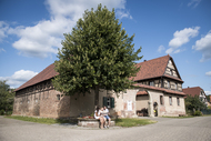 Idée de balade, promenade ou randonnée en famille avec des enfants : Kauffenheim