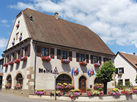 Idée de balade, promenade ou randonnée en famille avec des enfants : Krautergersheim - Innenheim