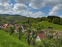 Balade en famille autour de Balade ludique à Maisonsgoutte en famille dans le 67 - Bas-Rhin