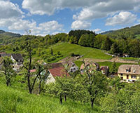 Balade en famille autour de Balade ludique à Maisonsgoutte en famille dans le 67 - Bas-Rhin