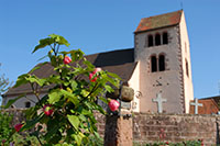 Idée de balade, promenade ou randonnée en famille avec des enfants : Neuve-Eglise