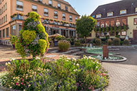 Idée de balade, promenade ou randonnée en famille avec des enfants : Niederbronn-les-Bains