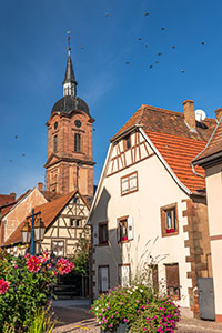 Balade en famille autour de Promenade ludique et familiale à Reichshoffen dans le 67 - Bas-Rhin