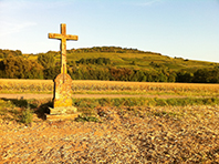 Balade en famille autour de Scharrachbergheim dans le 67 - Bas-Rhin