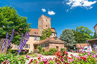 Balade en famille autour de Balade ludique et familiale à Woerth dans le 67 - Bas-Rhin