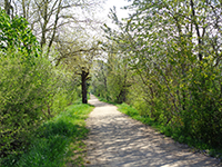 Idée de balade, promenade ou randonnée en famille avec des enfants : BlodelsheimPoney Parc - Forêt de la Harth
