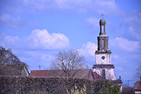 Idée de balade, promenade ou randonnée en famille avec des enfants : Burnhaupt-le-Bas