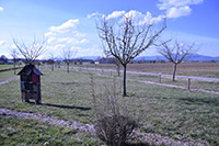 Balade en famille autour de Promenade ludique en famille dans les rues de Burnhaupt-le-Bas dans le 68 - Haut-Rhin