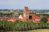 Balade en famille autour de Eguisheim dans le 68 - Haut-Rhin