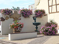 Balade en famille autour de En balade à Hattstatt dans le 68 - Haut-Rhin