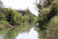 Balade en famille autour de Maison de la nature du vieux canal dans le 68 - Haut-Rhin