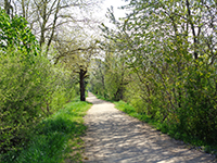 Balade en famille autour de Maison de la nature du vieux canal dans le 68 - Haut-Rhin