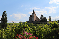 Balade en famille autour de Hunawihr dans le 68 - Haut-Rhin