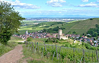 Idée de balade, promenade ou randonnée en famille avec des enfants : Katzenthal