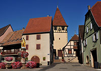 Idée de balade, promenade ou randonnée en famille avec des enfants : Obermorschwihr