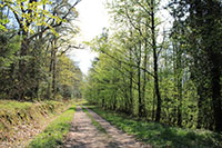 Balade en famille autour de A la découverte d'Osenbach en famille dans le 68 - Haut-Rhin