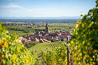 Idée de balade, promenade ou randonnée en famille avec des enfants : Rodern