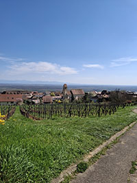 Idée de balade, promenade ou randonnée en famille avec des enfants : Voegtlinshoffen