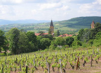 Idée de balade, promenade ou randonnée en famille avec des enfants : Bully