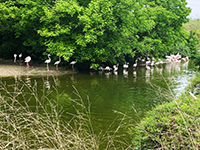 Idée de balade, promenade ou randonnée en famille avec des enfants : FI Lyon - Parc de la Tête d'Or