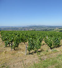 Balade en famille autour de Jeux de pistes en famille dans le village de Sourcieux-les-Mines dans le 69 - Rhône