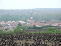 Balade en famille autour de Saint-Lager dans le 69 - Rhône