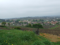 Balade en famille autour de Saint-Lager dans le 69 - Rhône