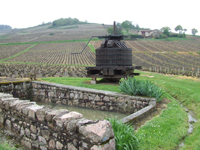 Balade en famille autour de Saint-Lager dans le 69 - Rhône