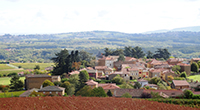 Balade en famille autour de Balade ludique et familiale à Theizé dans le 69 - Rhône