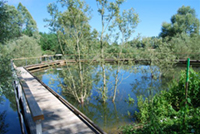 Idée de balade, promenade ou randonnée en famille avec des enfants : Châtenoy-le-Royal