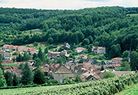 Idée de balade, promenade ou randonnée en famille avec des enfants : Lugny