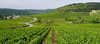 Balade en famille autour de Lugny dans le 71 - Saône-et-Loire