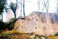 Balade en famille autour de Mercurey dans le 71 - Saône-et-Loire