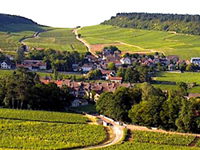 Balade en famille autour de Mercurey dans le 71 - Saône-et-Loire