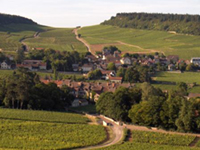 Balade en famille autour de Mercurey dans le 71 - Saône-et-Loire